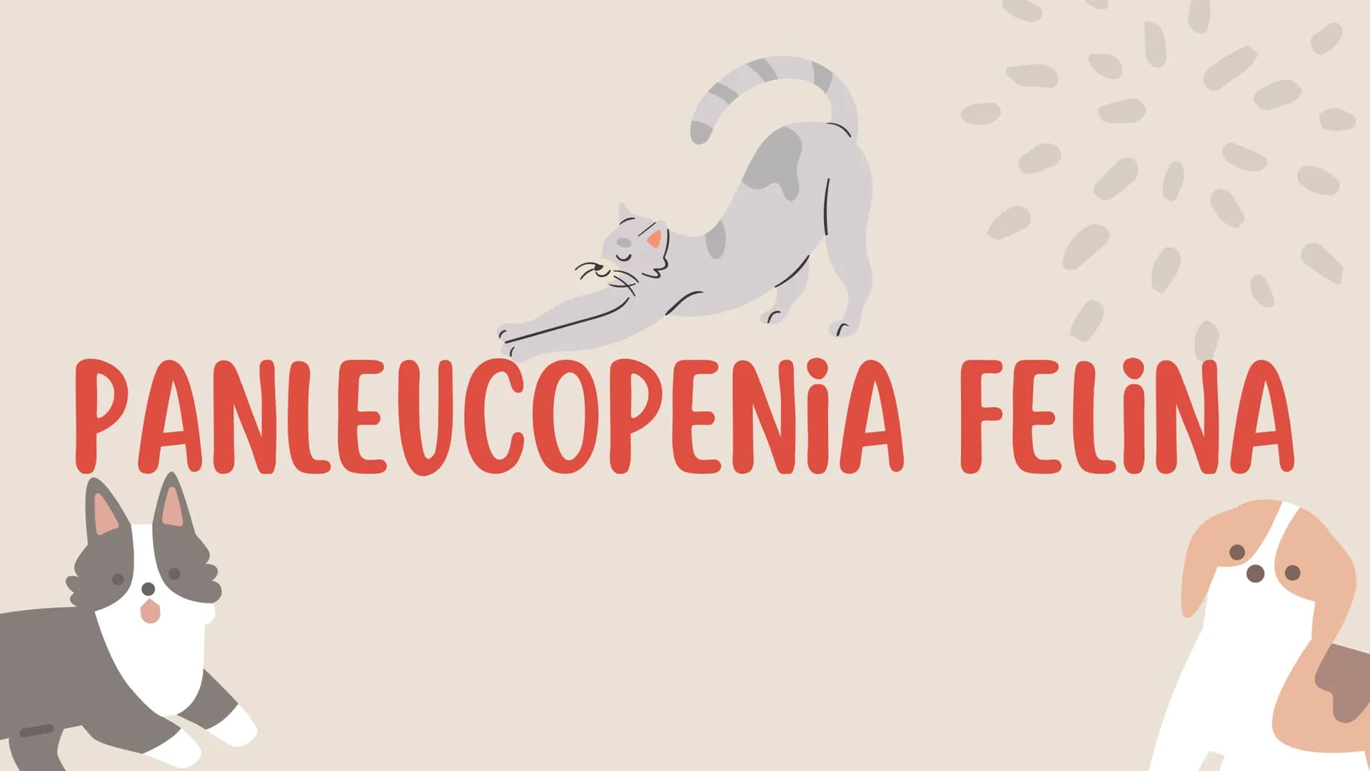 ENFERMEDADES VIRALES
1
PANLEUCOPENIA
FELINA
2
PARVOVIRUS
CANINO
3
RINOTRAQUITIS
PARAINFLUENZA
FELINA
CANINA INTRODUCCIÓN
Seis de cada diez h