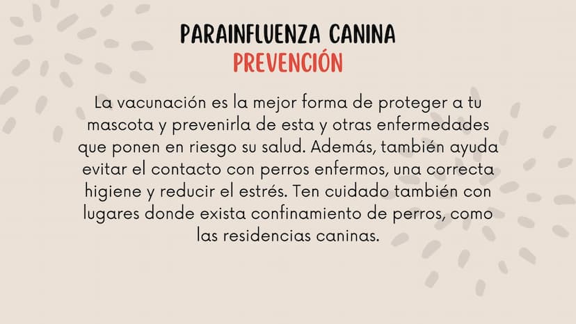 ENFERMEDADES VIRALES
1
PANLEUCOPENIA
FELINA
2
PARVOVIRUS
CANINO
3
RINOTRAQUITIS
PARAINFLUENZA
FELINA
CANINA INTRODUCCIÓN
Seis de cada diez h