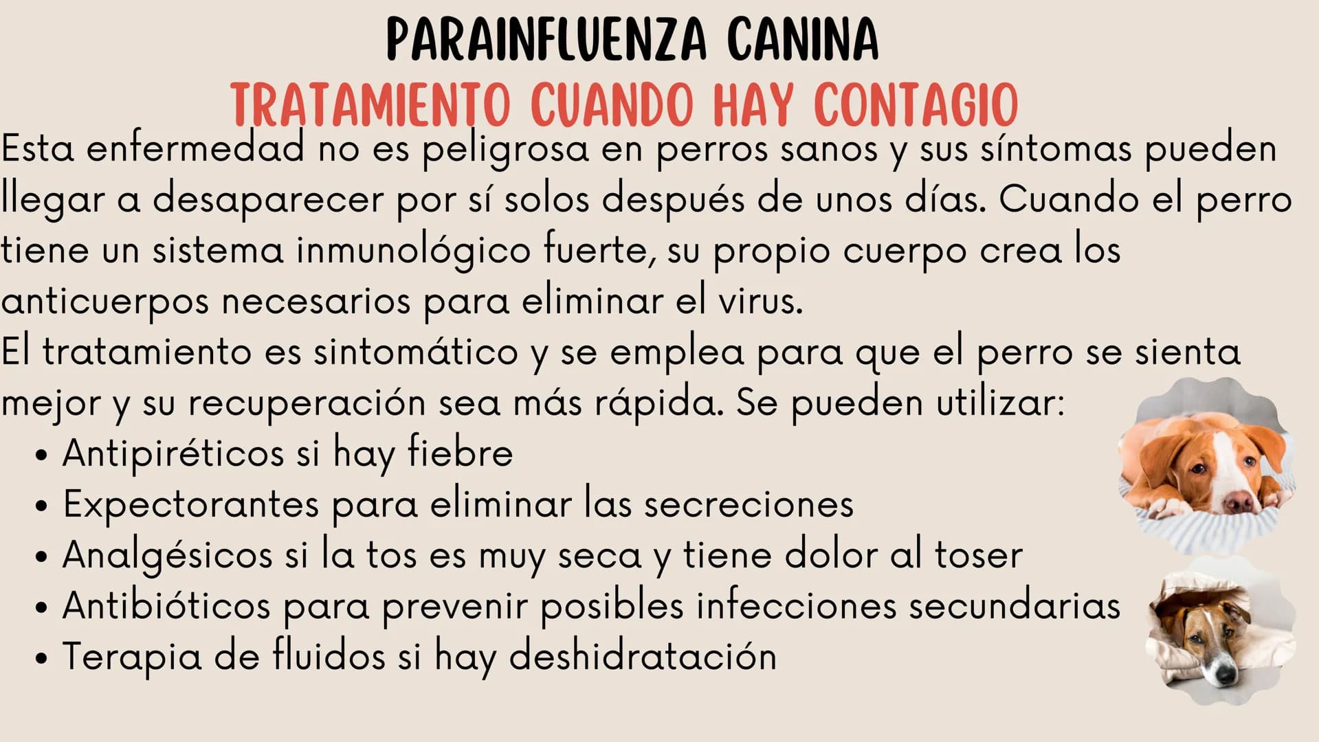 ENFERMEDADES VIRALES
1
PANLEUCOPENIA
FELINA
2
PARVOVIRUS
CANINO
3
RINOTRAQUITIS
PARAINFLUENZA
FELINA
CANINA INTRODUCCIÓN
Seis de cada diez h