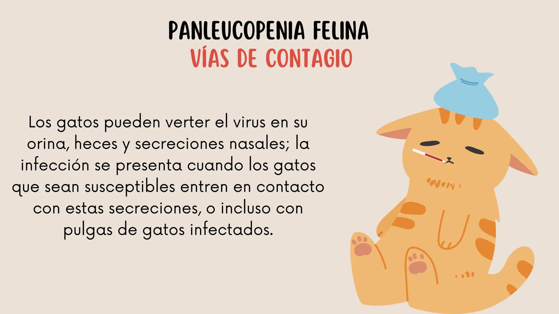 ENFERMEDADES VIRALES
1
PANLEUCOPENIA
FELINA
2
PARVOVIRUS
CANINO
3
RINOTRAQUITIS
PARAINFLUENZA
FELINA
CANINA INTRODUCCIÓN
Seis de cada diez h