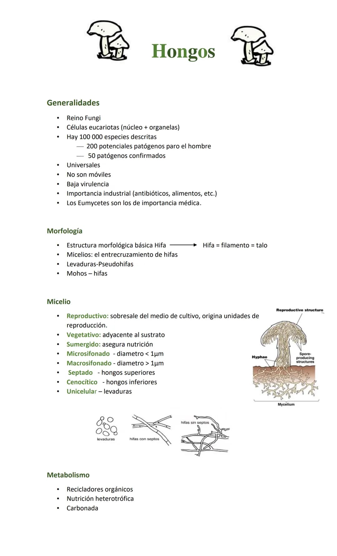 Hongos
Generalidades
•
•
•
•
Reino Fungi
Células eucariotas (núcleo + organelas)
Hay 100 000 especies descritas
200 potenciales patógenos pa