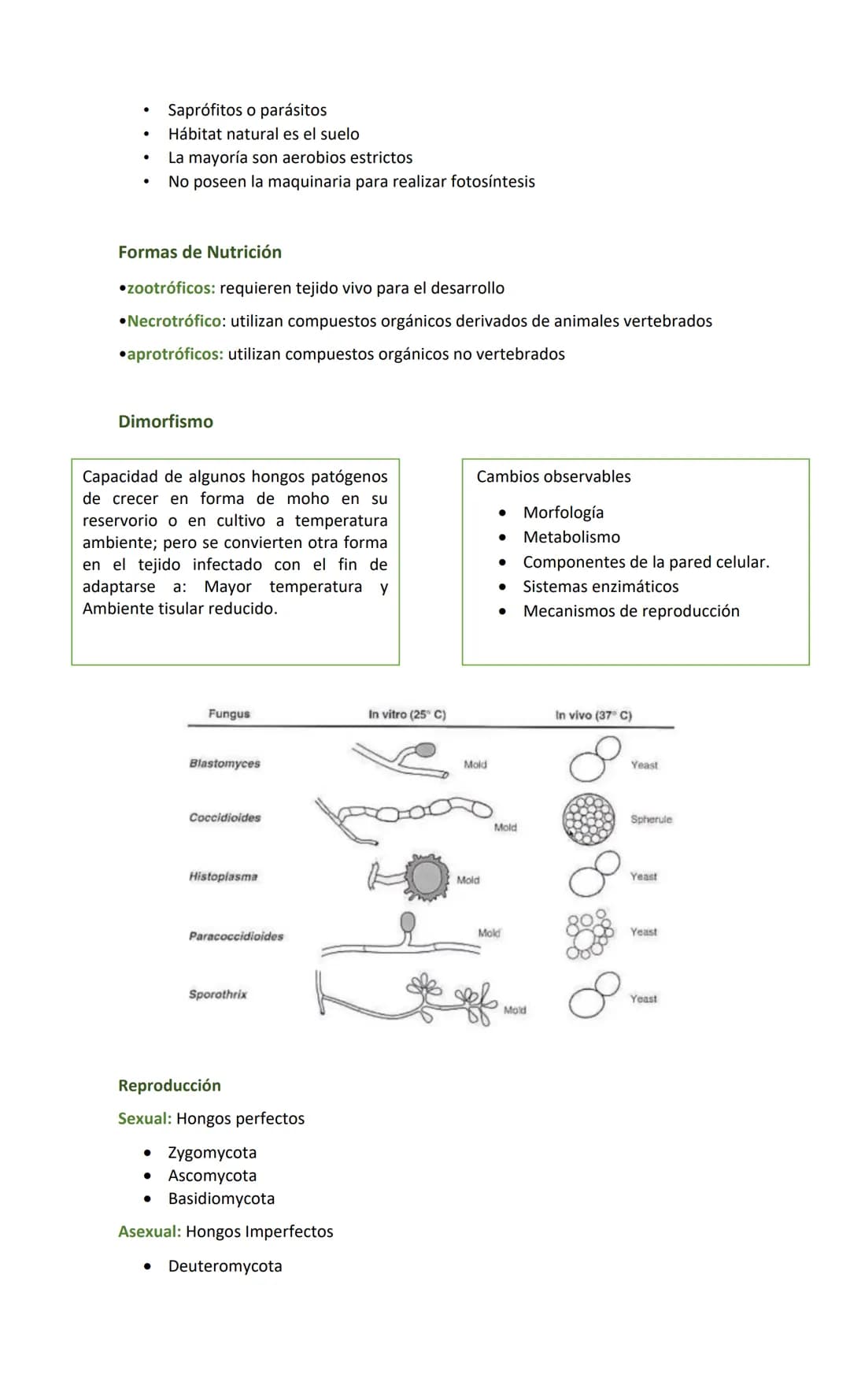 Hongos
Generalidades
•
•
•
•
Reino Fungi
Células eucariotas (núcleo + organelas)
Hay 100 000 especies descritas
200 potenciales patógenos pa