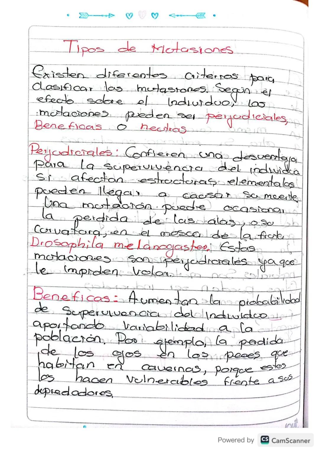 # Las Mutaciones

el material genetico generalmente
se transcribe sin modificación
de generación en generación, lo
que permita la transmisió