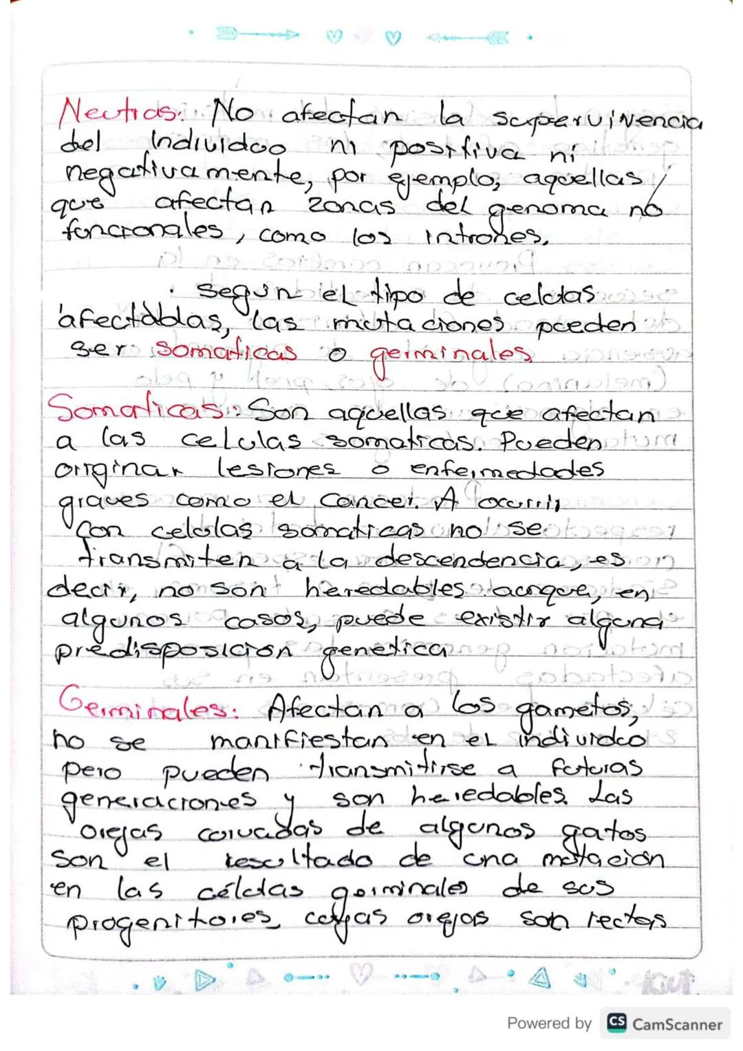 # Las Mutaciones

el material genetico generalmente
se transcribe sin modificación
de generación en generación, lo
que permita la transmisió