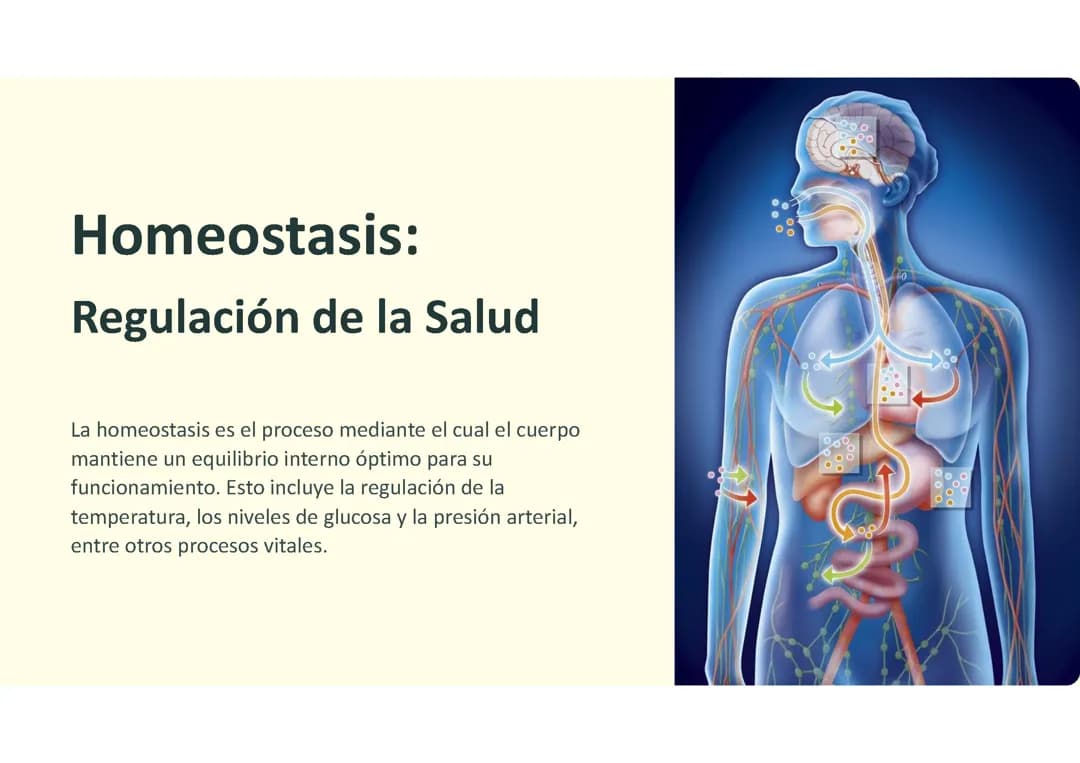Homeostasis: 