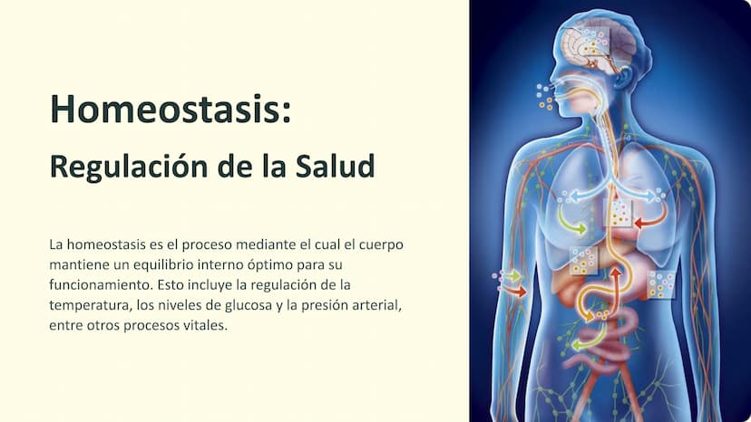Homeostasis:
Regulación de la Salud
La homeostasis es el proceso mediante el cual el cuerpo
mantiene un equilibrio interno óptimo para su
fu