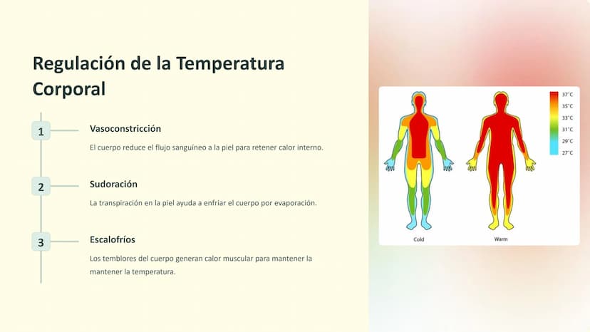 Homeostasis:
Regulación de la Salud
La homeostasis es el proceso mediante el cual el cuerpo
mantiene un equilibrio interno óptimo para su
fu