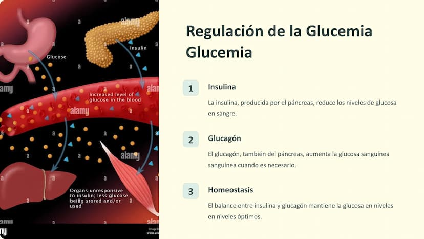 Homeostasis:
Regulación de la Salud
La homeostasis es el proceso mediante el cual el cuerpo
mantiene un equilibrio interno óptimo para su
fu