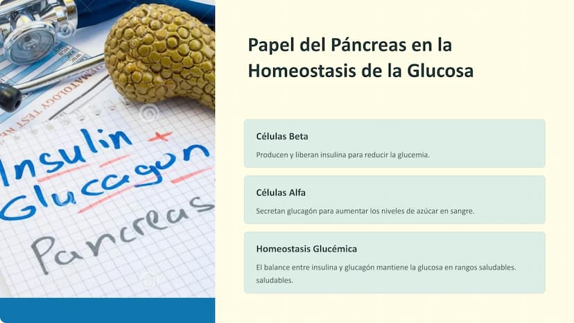 Homeostasis:
Regulación de la Salud
La homeostasis es el proceso mediante el cual el cuerpo
mantiene un equilibrio interno óptimo para su
fu