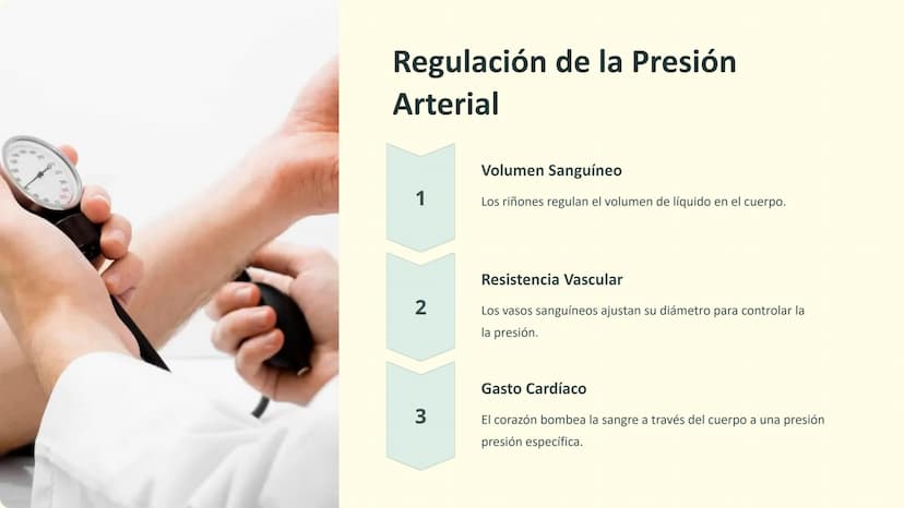 Homeostasis:
Regulación de la Salud
La homeostasis es el proceso mediante el cual el cuerpo
mantiene un equilibrio interno óptimo para su
fu