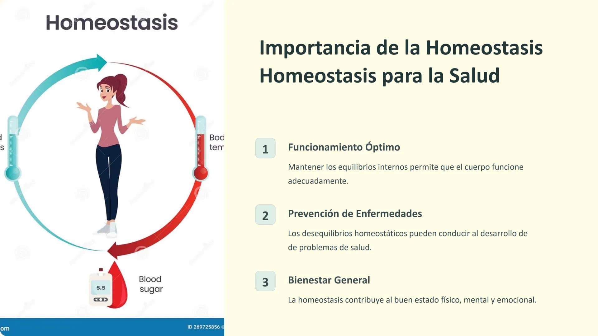 Homeostasis:
Regulación de la Salud
La homeostasis es el proceso mediante el cual el cuerpo
mantiene un equilibrio interno óptimo para su
fu
