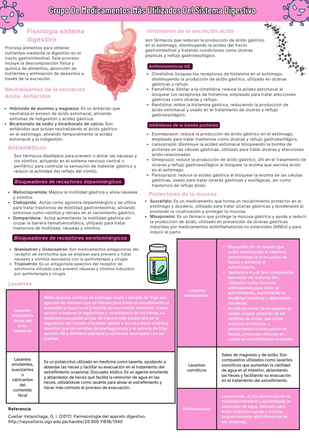 Grupo De Medicamentos Más Utilizados Del Sistema Digestivo
Fisiología sistema
digestivo
Procesa alimentos para obtener
nutrientes mediante l