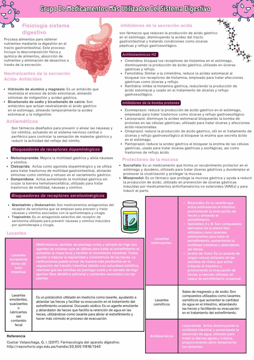 Grupo De Medicamentos Más Utilizados Del Sistema Digestivo
Fisiología sistema
digestivo
Procesa alimentos para obtener
nutrientes mediante l