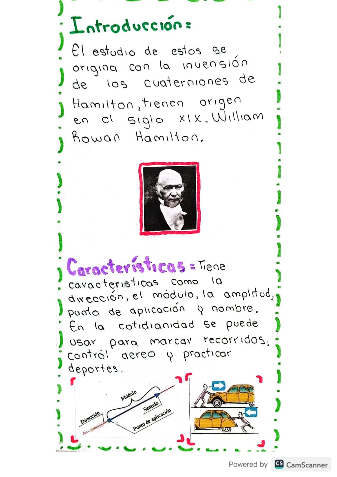 LOS
VECTORES
Diego Rodriguez
Santiago Bustos
FÍSICA
1002
نه
Powered by CS CamScanner Introducción:
El estudio de estos se
origina con la inv