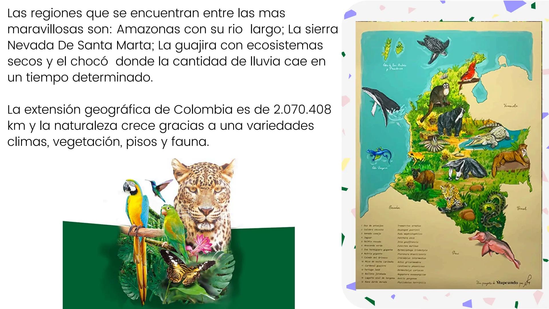 # Análisis de las
especies de Colombia

Valeria Medina - Mariana Santos - Valentina Sevillano - Mariana Serna Departamentos
Numero de especi