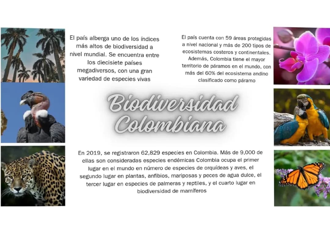Biodiversidad Colombiana 