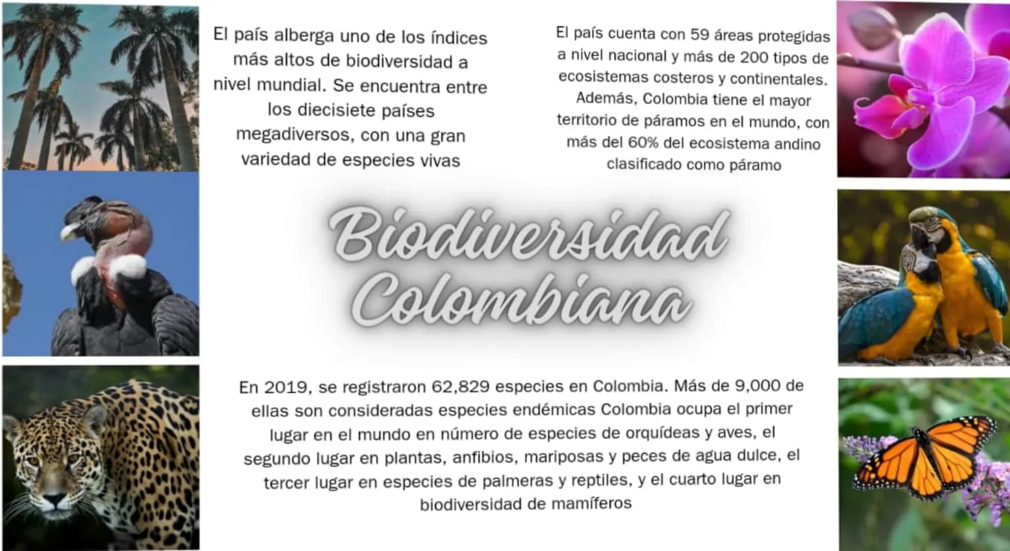 El país alberga uno de los índices
más altos de biodiversidad a
nivel mundial. Se encuentra entre
los diecisiete países
megadiversos, con un