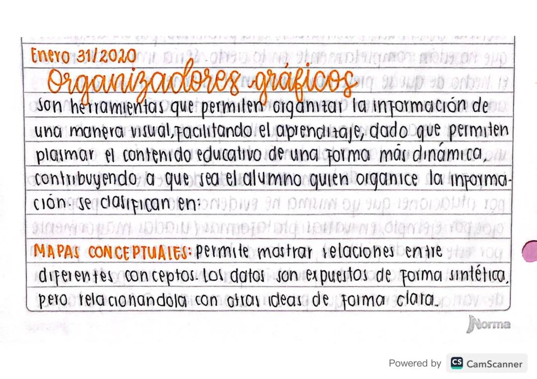 Organizadores Gráficos para Lengua Castellana - Grado 10 y 11
