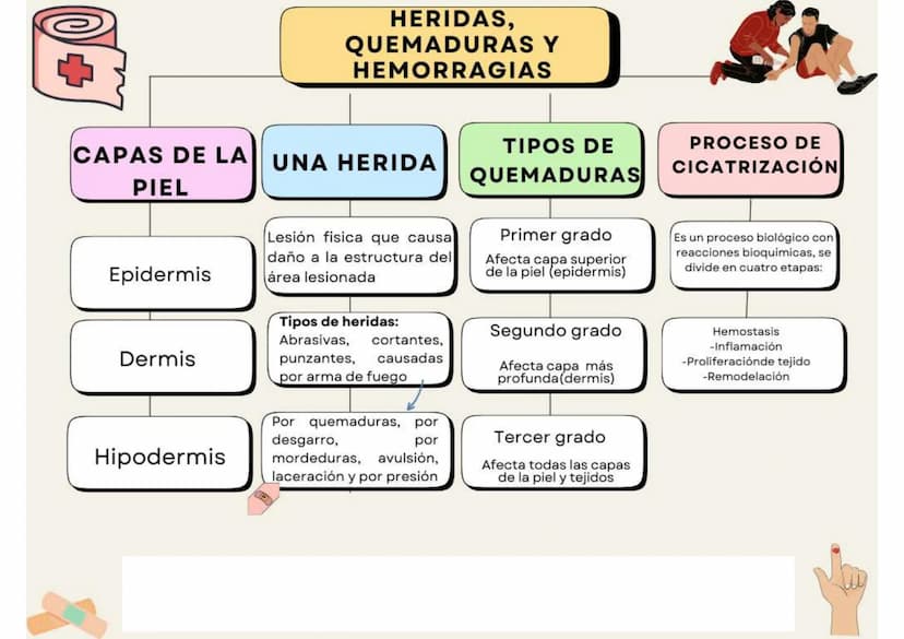 HERIDAS,
QUEMADURAS Y
HEMORRAGIAS
CAPAS DE LA
PIEL
UNA HERIDA
Epidermis
Lesión fisica que causa
daño a la estructura del
área lesionada
Tipo