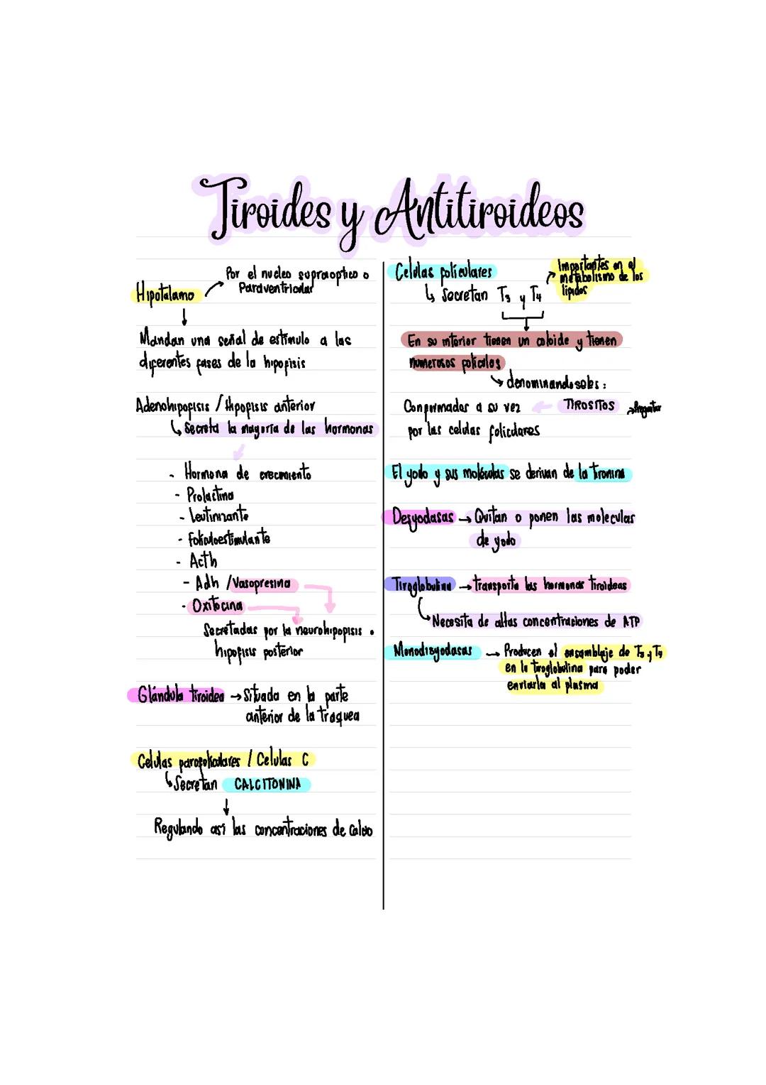 Todo sobre el Hipotiroidismo: ¿Es Curable? Tratamientos y Dieta