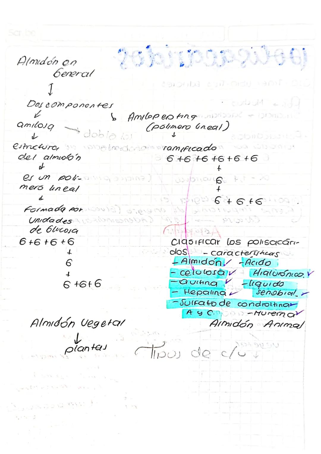 27 de Abill cle 2023

poliçacáridos

010 Traer libro Tres Editores

Poli→ Muchos
Sacarido Saccharum (Ouizura)

• Polisacaridos

formado, por