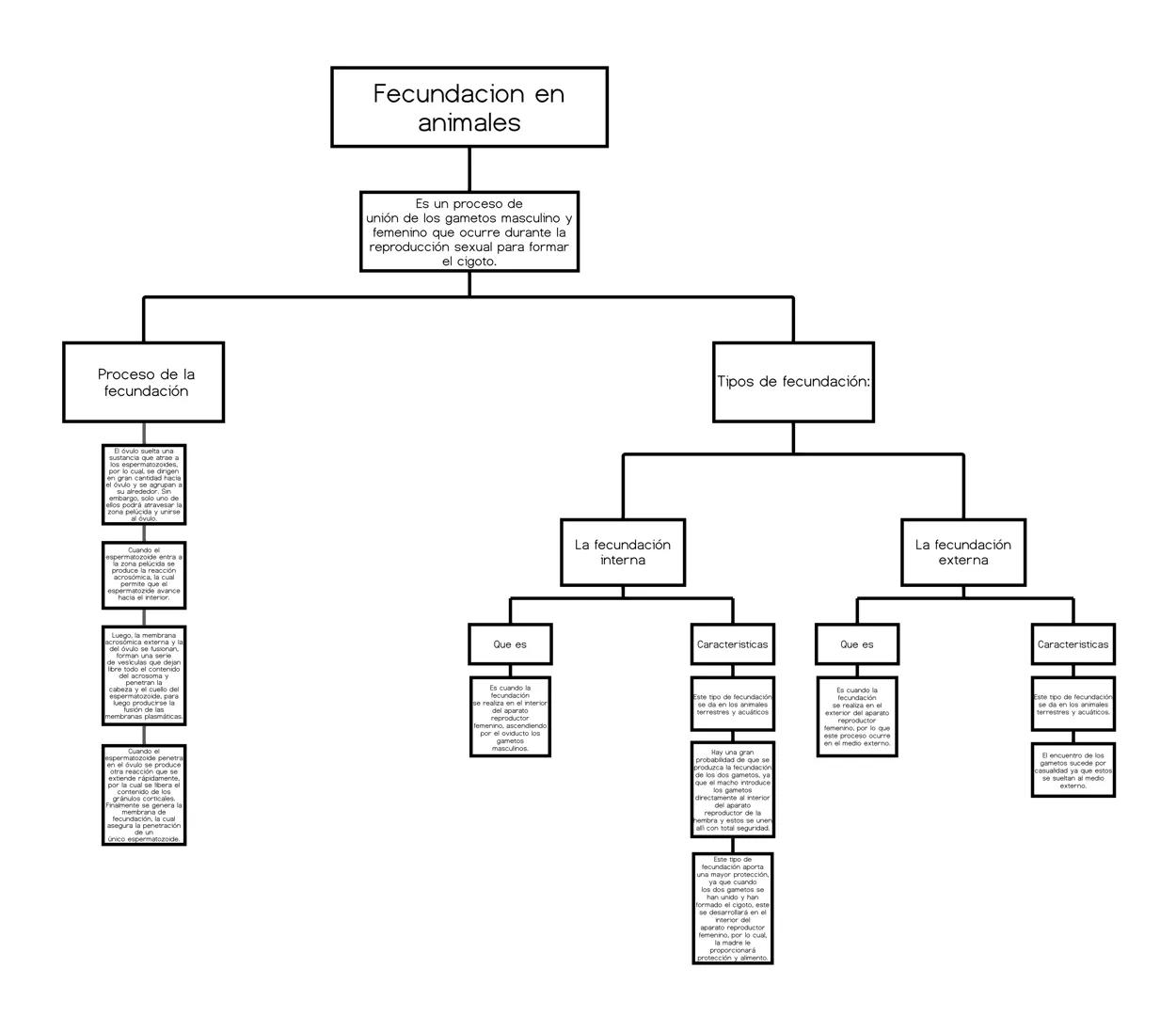 Proceso de la
fecundación
Bóvulo suelta una
sustancia que atrae a
los espermatozoides.
por lo cual se dirigen
en gran cantidad hacia
el óvul