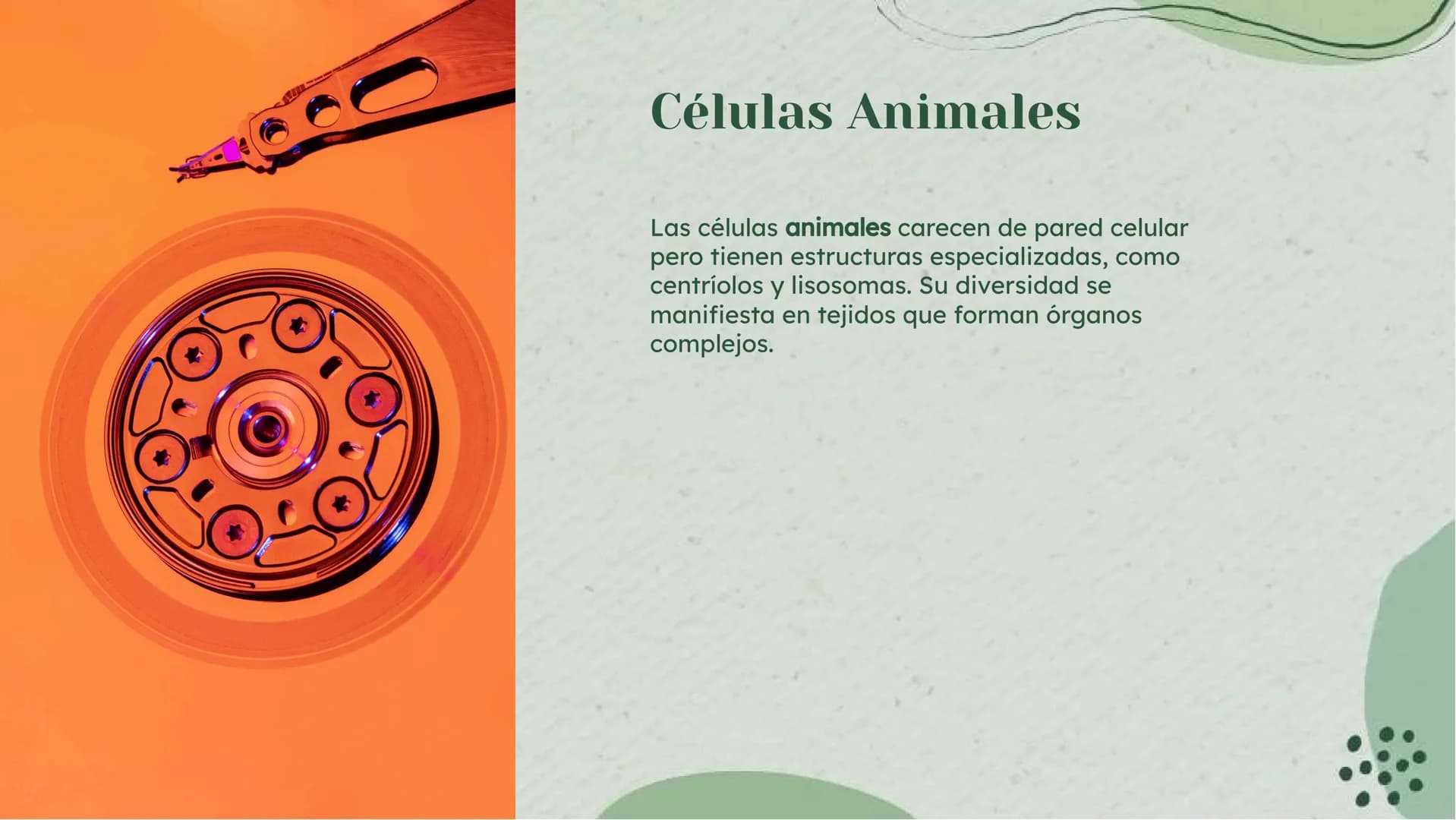 Análisis Detallado de la
Célula: Definición y
Diversidad Celular Introducción
La célula es la unidad fundamental de la vida, con una diversi