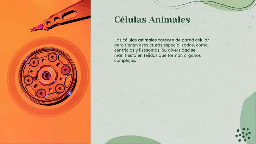Análisis Detallado de la
Célula: Definición y
Diversidad Celular Introducción
La célula es la unidad fundamental de la vida, con una diversi