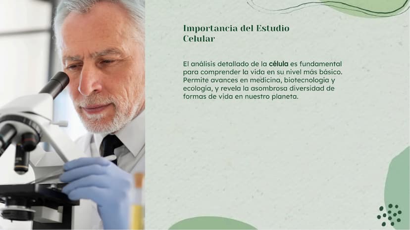 Análisis Detallado de la
Célula: Definición y
Diversidad Celular Introducción
La célula es la unidad fundamental de la vida, con una diversi