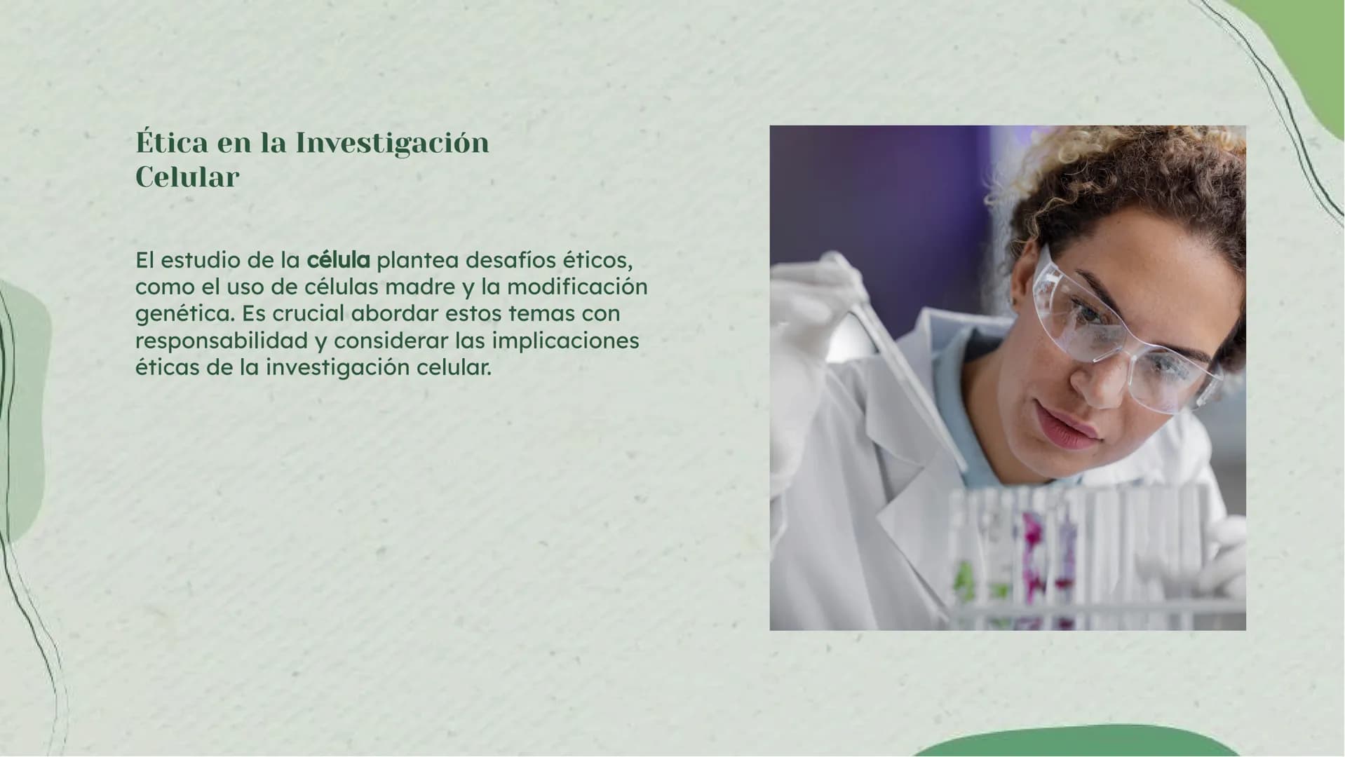 Análisis Detallado de la
Célula: Definición y
Diversidad Celular Introducción
La célula es la unidad fundamental de la vida, con una diversi