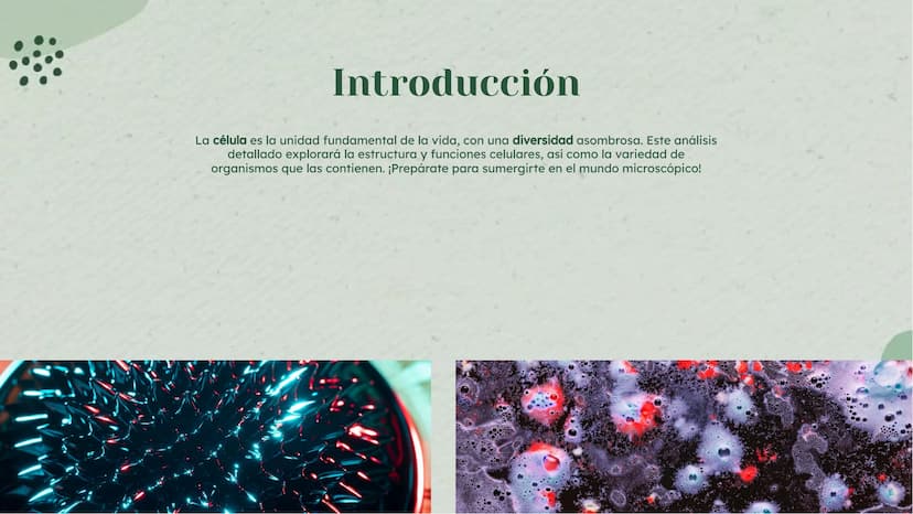 Análisis Detallado de la
Célula: Definición y
Diversidad Celular Introducción
La célula es la unidad fundamental de la vida, con una diversi
