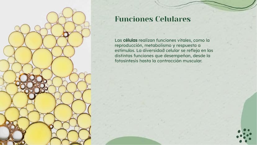 Análisis Detallado de la
Célula: Definición y
Diversidad Celular Introducción
La célula es la unidad fundamental de la vida, con una diversi