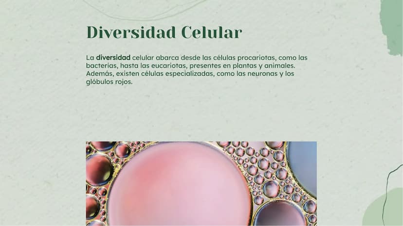 Análisis Detallado de la
Célula: Definición y
Diversidad Celular Introducción
La célula es la unidad fundamental de la vida, con una diversi