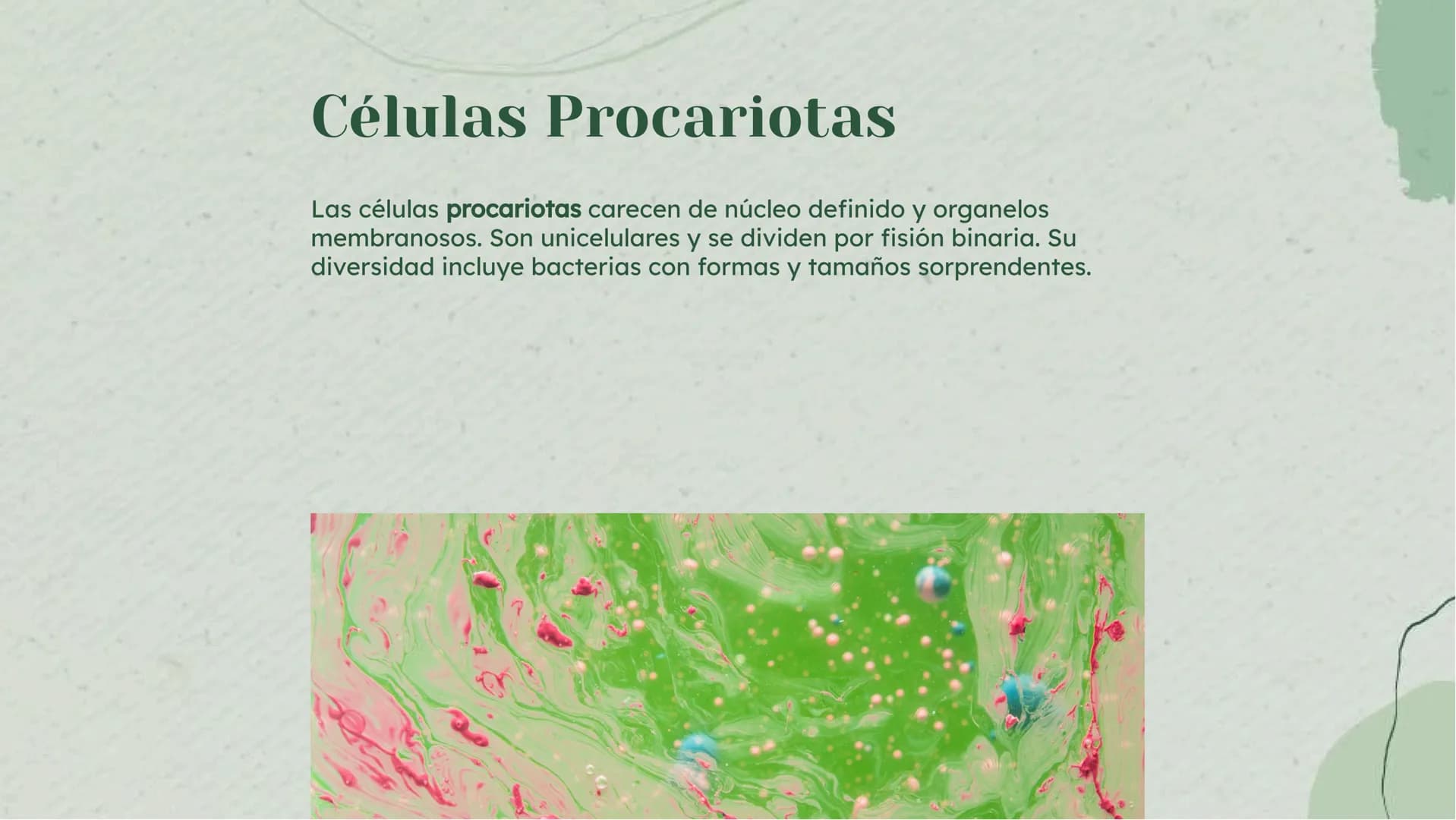 Análisis Detallado de la
Célula: Definición y
Diversidad Celular Introducción
La célula es la unidad fundamental de la vida, con una diversi