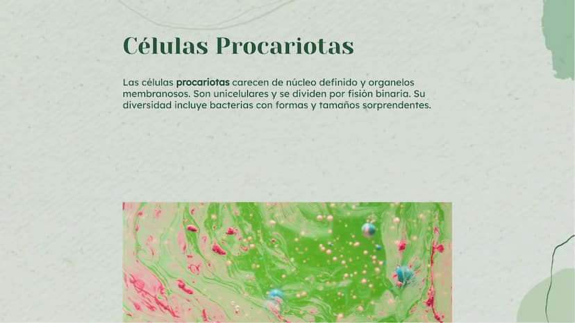 Análisis Detallado de la
Célula: Definición y
Diversidad Celular Introducción
La célula es la unidad fundamental de la vida, con una diversi