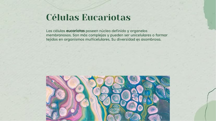 Análisis Detallado de la
Célula: Definición y
Diversidad Celular Introducción
La célula es la unidad fundamental de la vida, con una diversi