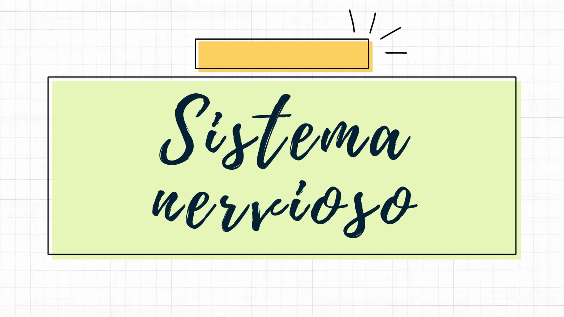 Sistema
nervioso Sistema nervioso-
El sistema nervioso es el sistema que dirige,
supervisa y controla todas las funciones y
actividades del 