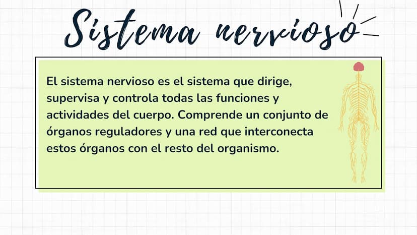 Sistema
nervioso Sistema nervioso-
El sistema nervioso es el sistema que dirige,
supervisa y controla todas las funciones y
actividades del 
