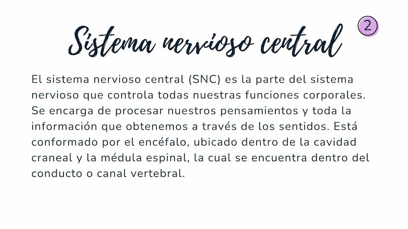 Sistema
nervioso Sistema nervioso-
El sistema nervioso es el sistema que dirige,
supervisa y controla todas las funciones y
actividades del 