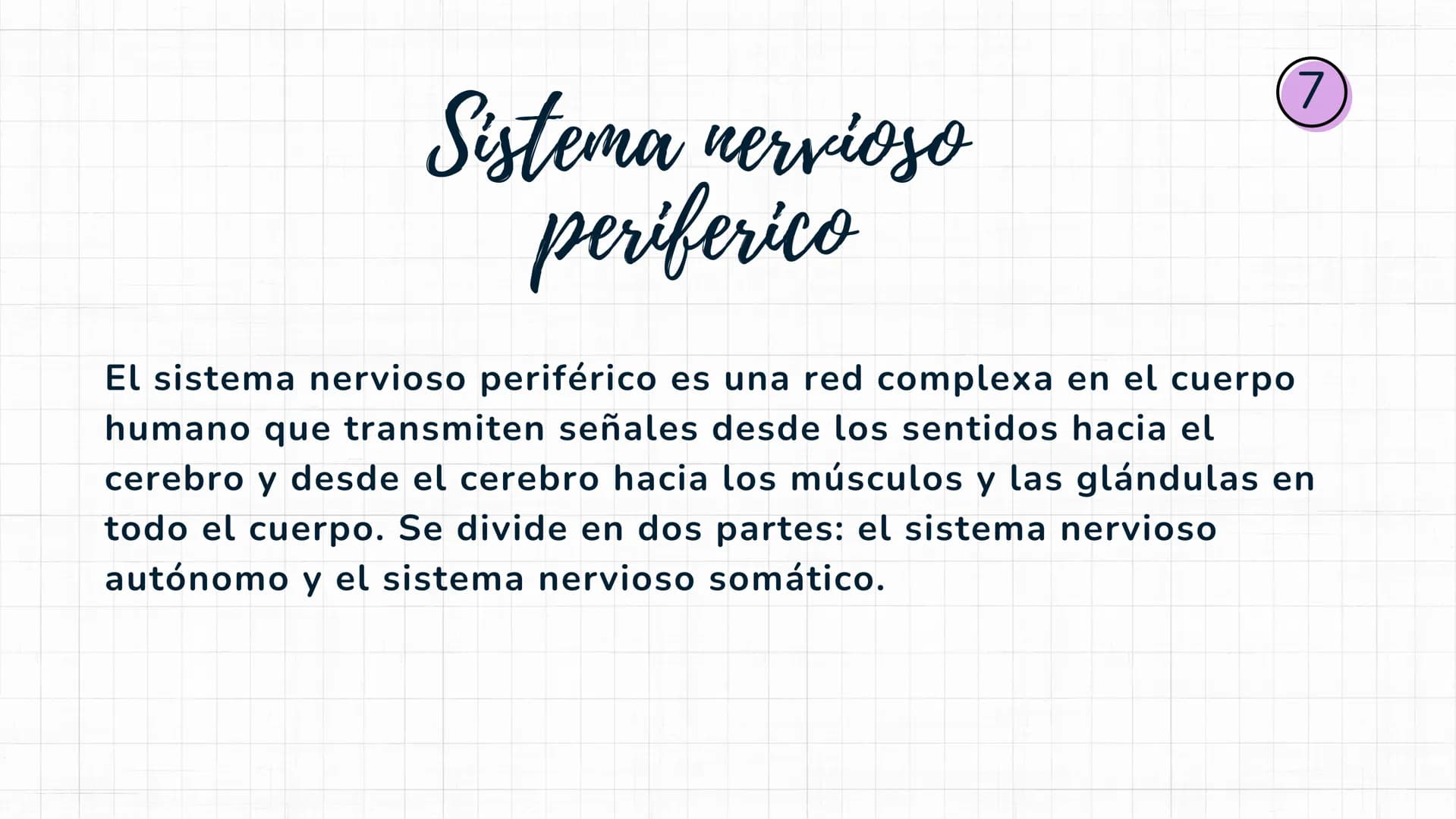 Sistema
nervioso Sistema nervioso-
El sistema nervioso es el sistema que dirige,
supervisa y controla todas las funciones y
actividades del 
