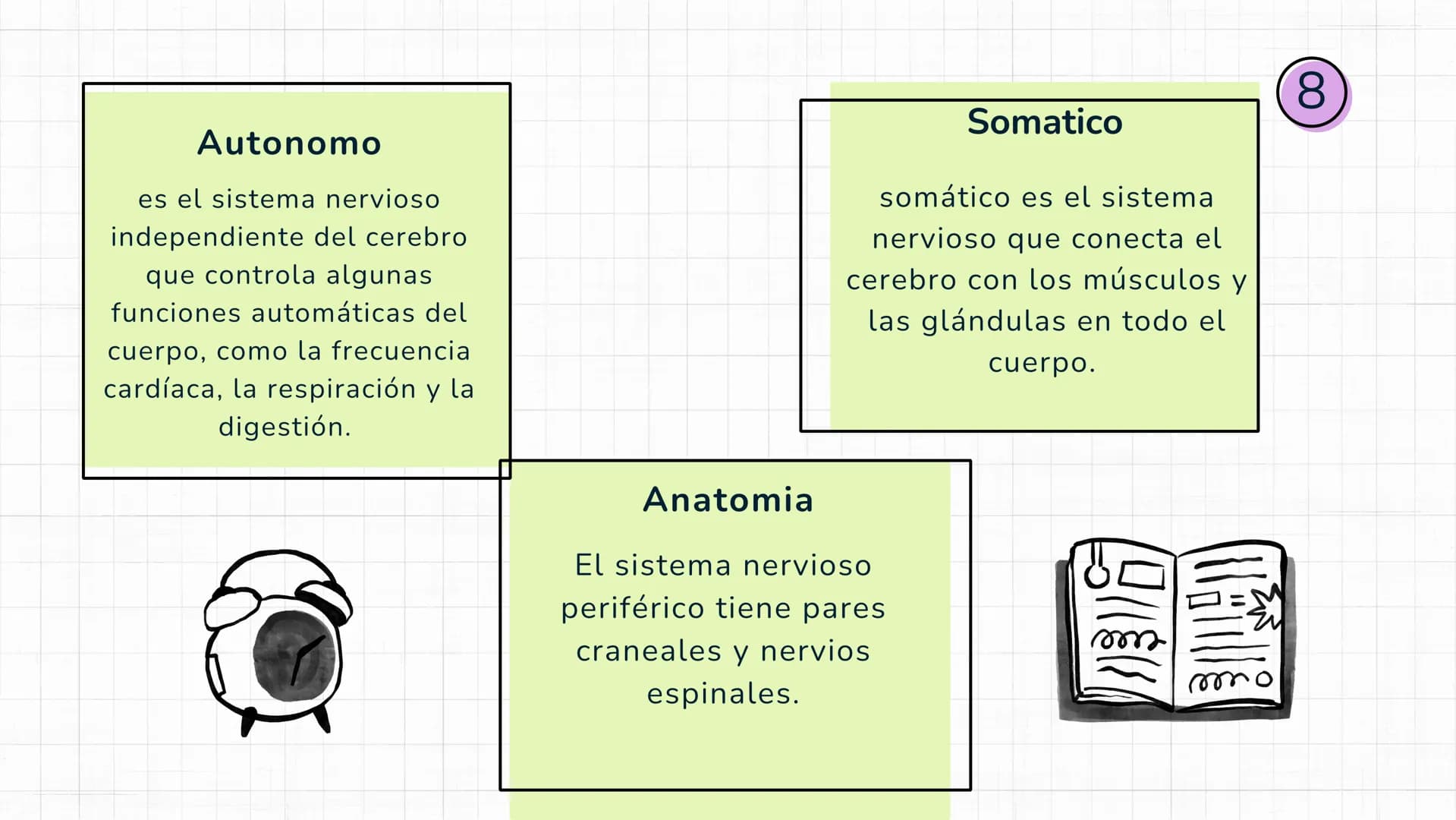 Sistema
nervioso Sistema nervioso-
El sistema nervioso es el sistema que dirige,
supervisa y controla todas las funciones y
actividades del 