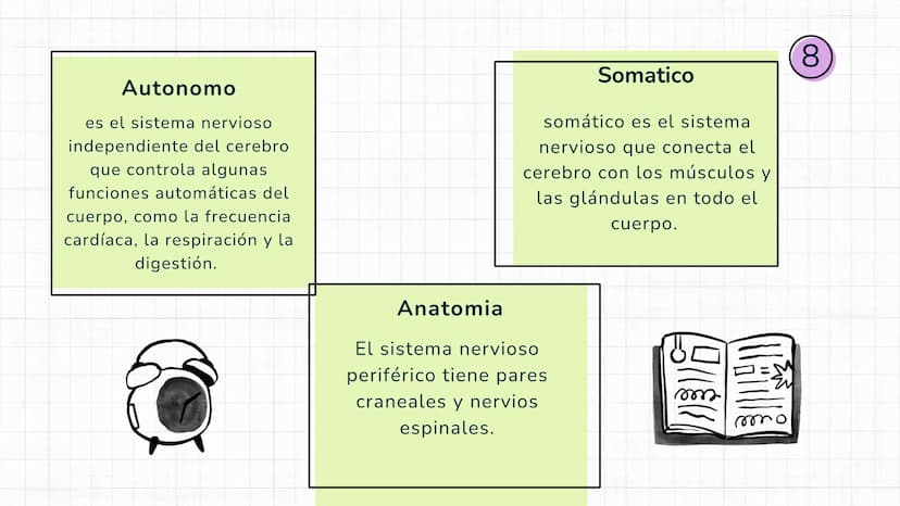 Sistema
nervioso Sistema nervioso-
El sistema nervioso es el sistema que dirige,
supervisa y controla todas las funciones y
actividades del 