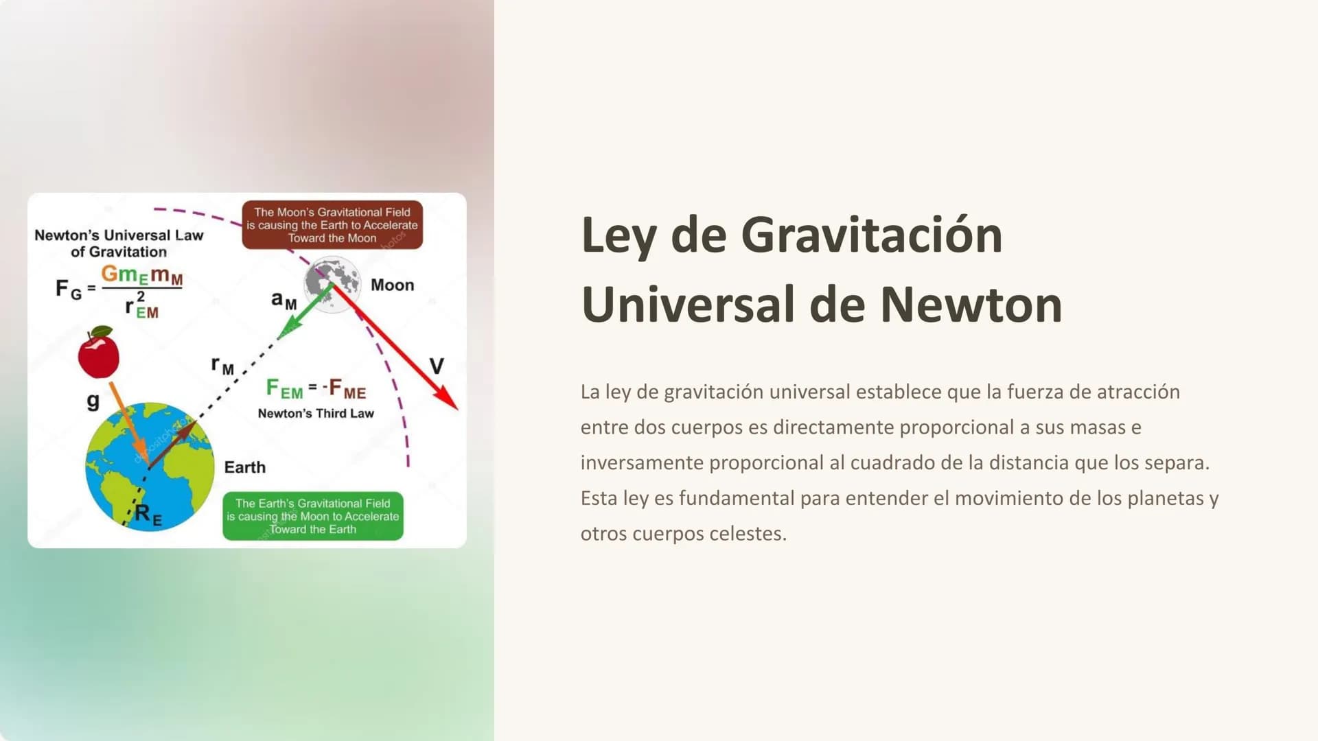 Gravitación
Universal
La gravitación universal es la fuerza que mantiene unidos a los planetas
en el sistema solar y a las galaxias en el un