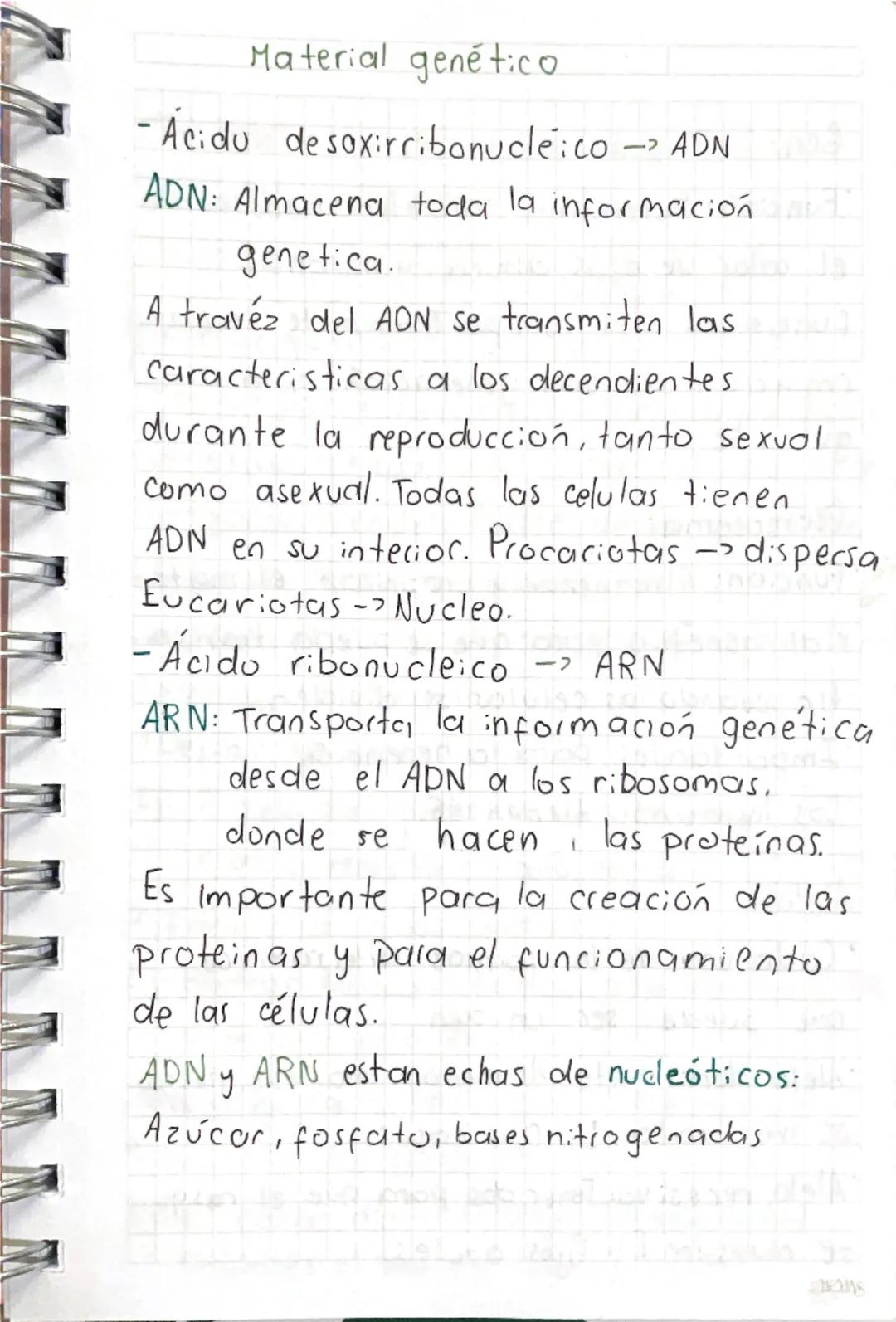 Material genético.
- Ácido desoxirribonucleico
―>
ADN
ADN: Almacena toda la informacion
genetica.
A través del ADN se transmiten las
Caracte