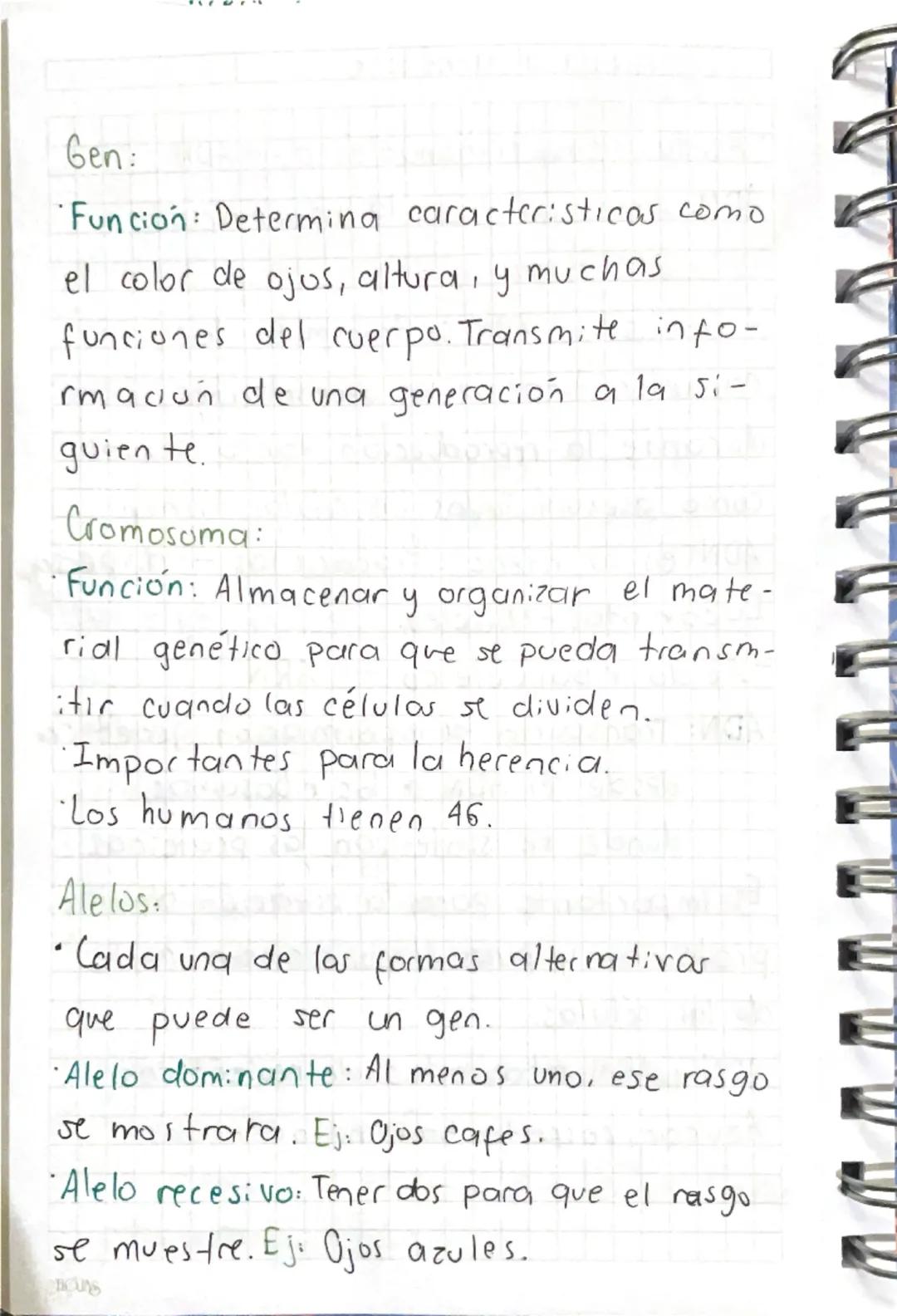 Material genético.
- Ácido desoxirribonucleico
―>
ADN
ADN: Almacena toda la informacion
genetica.
A través del ADN se transmiten las
Caracte