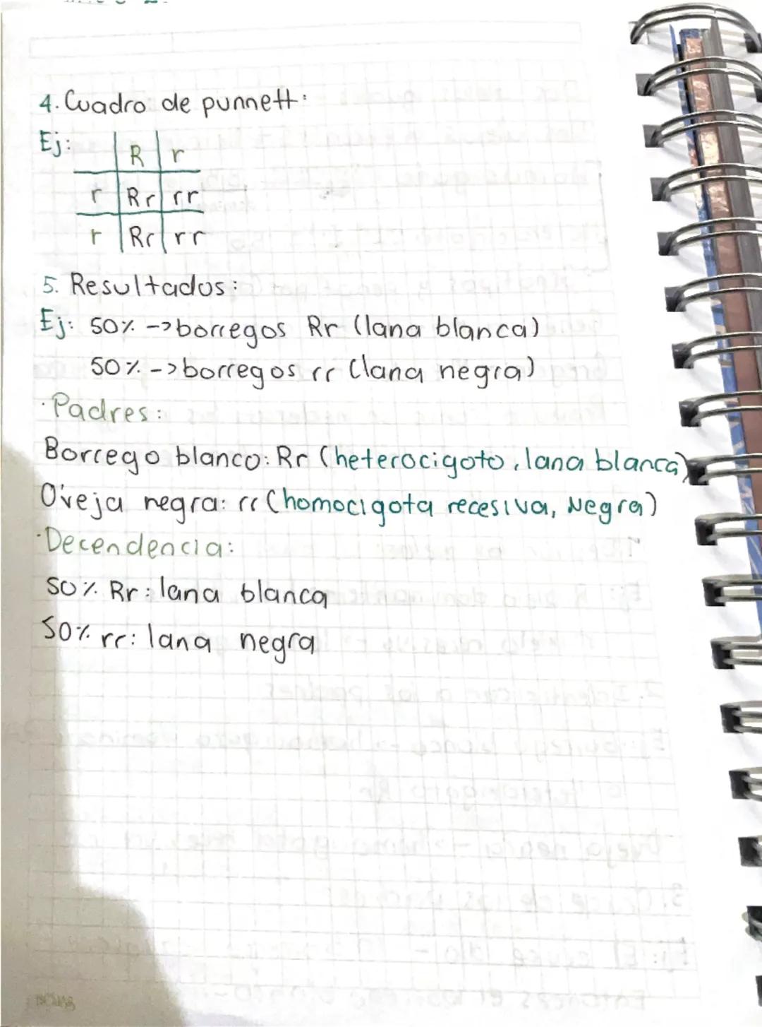 Material genético.
- Ácido desoxirribonucleico
―>
ADN
ADN: Almacena toda la informacion
genetica.
A través del ADN se transmiten las
Caracte