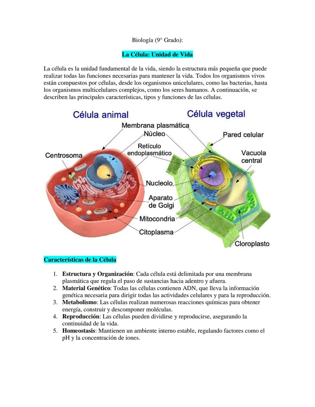 Biología (9° Grado):
La Célula: Unidad de Vida
La célula es la unidad fundamental de la vida, siendo la estructura más pequeña que puede
rea