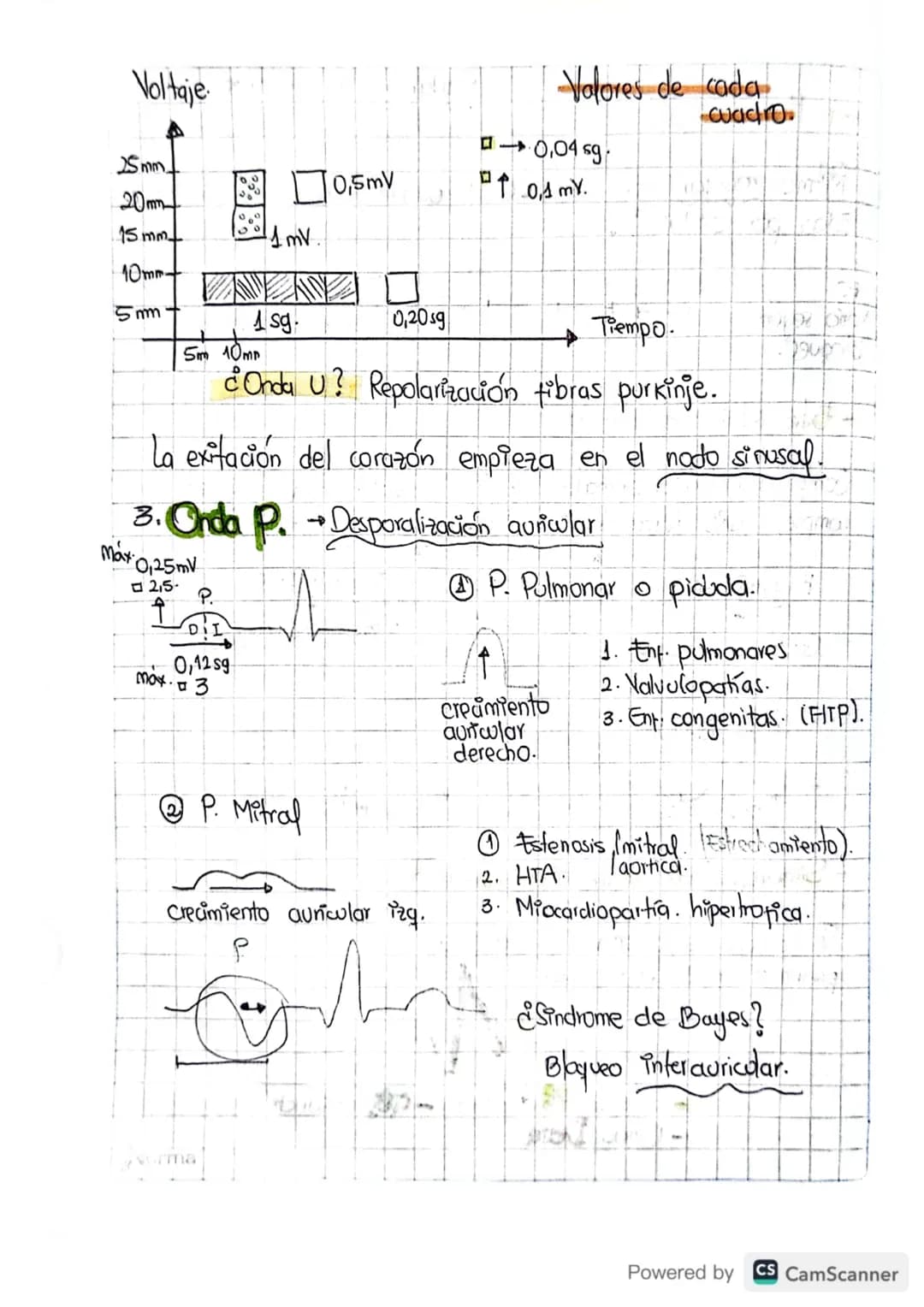 1. FC
• Paso a paso
• Como leer un electrocardiograma?
Contar de Ra R oantos cuadros hay.
20 pequeños la regla de 1500.
1500/20=751pm.
Valor