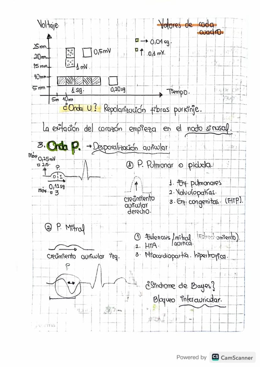 1. FC
• Paso a paso
• Como leer un electrocardiograma?
Contar de Ra R oantos cuadros hay.
20 pequeños la regla de 1500.
1500/20=751pm.
Valor