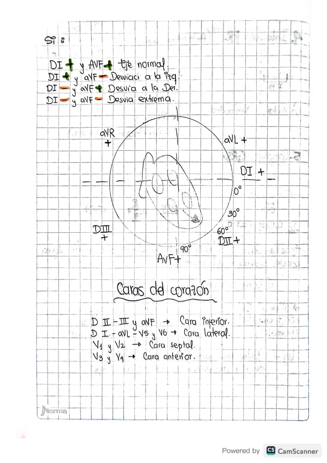1. FC
• Paso a paso
• Como leer un electrocardiograma?
Contar de Ra R oantos cuadros hay.
20 pequeños la regla de 1500.
1500/20=751pm.
Valor
